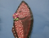 disfressa-enterrament-sardina-omniasantroc-40