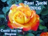 postal-rosa-sant-jordi-virginia2-2016