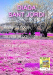 punto-llibre-sant-jordi-omnia-sant-roc-carme