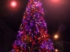 arbre_nadal250