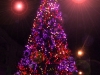 arbre_nadal455