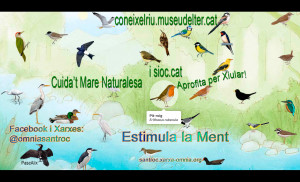 joc-covid-coronavirus-felizmiercoles-ocells-museudelter-sioc-ornito-joemquedoacas-yomequedoacasa-omniaacasa-badalona-omniasantroc-badalona-800-instagram